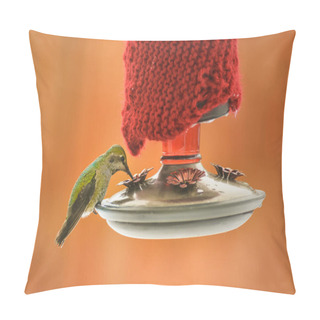 Personality  Female Annas Hummingbird, Calypte Anna, Feeding At Heated Insulated Backyard Red Glass Feeder In Winter Pillow Covers