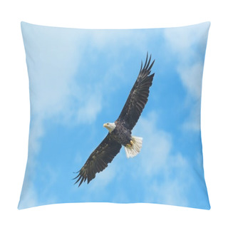 Personality  Bald Eagle In Flight Pillow Covers