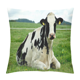 Personality  Resting Holstein Cow Pillow Covers