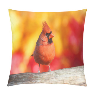 Personality  Male Northern Cardinal Pillow Covers
