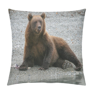 Personality  Grizzly Bear Fishing In An Alaskan Lake Pillow Covers