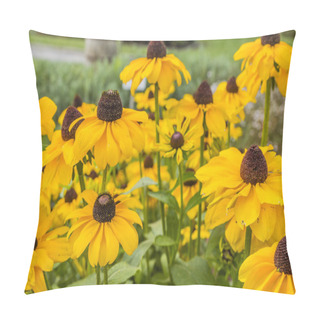 Personality  Rudbeckia Hirta - Yellow Flowers. Pillow Covers
