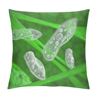 Personality  Paramecium Protozoa Pillow Covers