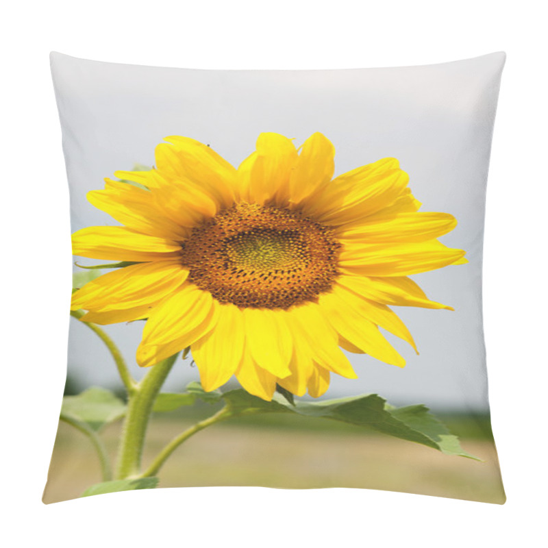 Personality  Blooming Sunflower Pillow Covers