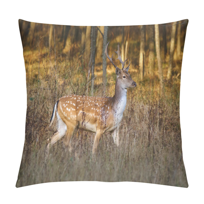 Personality  deer near forest at sunset pillow covers