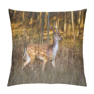 Personality  Deer Near Forest At Sunset Pillow Covers