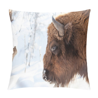 Personality  Bison Bull Head With Brown Fur And Horns On A White Isolated Bac Pillow Covers