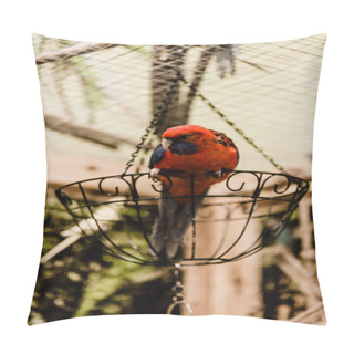 Personality  Selective Focus Of Red Parrot Sitting On Metallic Cage In Zoo Pillow Covers