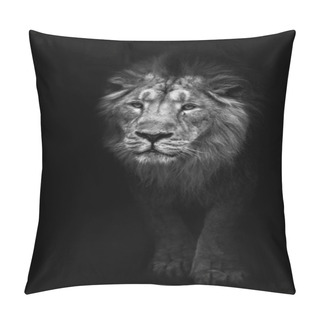Personality  Noir Black And White Contrast Photo Of A Powerful Maned Male Lion Protruding From Night Darkness, Black And White Photo, Lion Isolated On A Black Background. Pillow Covers