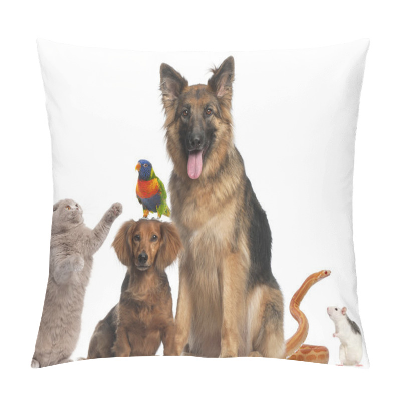 Personality  Group Of Animals In Front Of White Background Pillow Covers