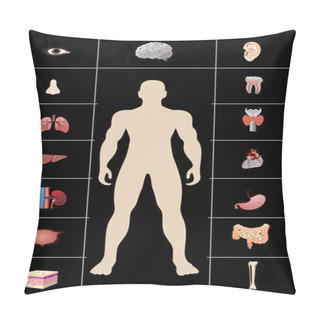 Personality  Icons Of Human Organs Pillow Covers