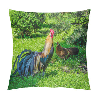 Personality  Rooster And Hen In The Wild Pillow Covers