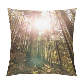 Personality  Sunshine And Trees On Hill In Mountains  Pillow Covers