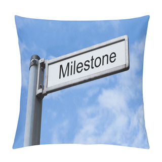 Personality  Signpost With Milestone Pillow Covers
