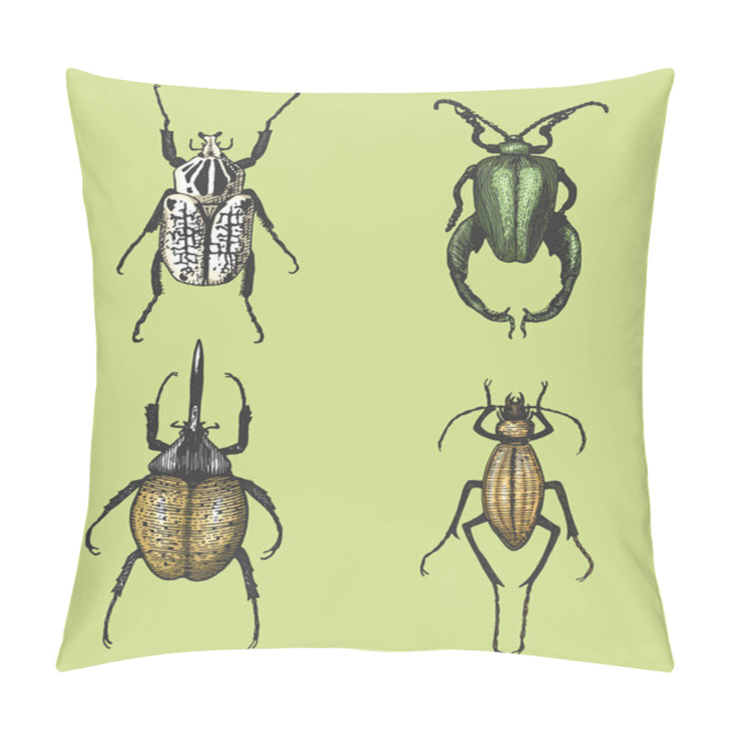 Personality  big set of insects bugs beetles and bees many species in vintage old hand drawn style engraved illustration woodcut pillow covers