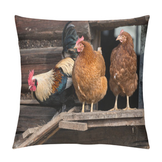 Personality  Chickens On Traditional Free Range Poultry Farm  Pillow Covers