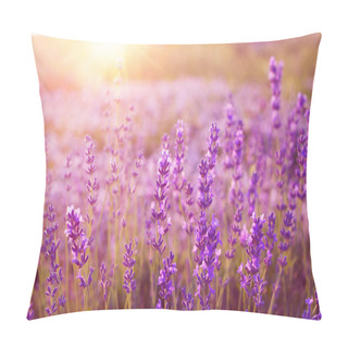 Personality  Sunset Over A Lavender Field. Pillow Covers