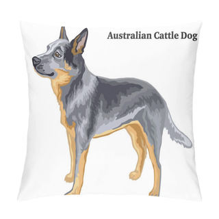 Personality  Colored Decorative Standing Portrait Of Australian Cattle Dog Ve Pillow Covers