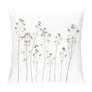 Personality  Dry Field Flowers Isolated On White Background. Dry Wild Meadow Grasses Or Herbs.  Pillow Covers
