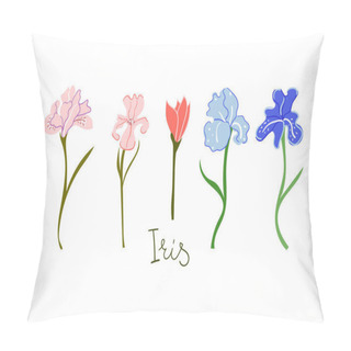 Personality  Hand Drawn Irises Flowers. Blossom, Botanical, Gardening, Wedding, Greeting Card Concept. Pillow Covers