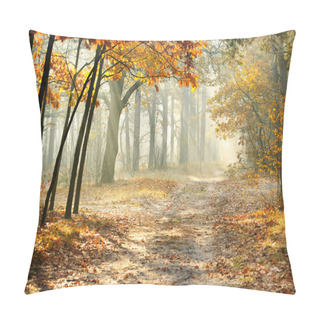 Personality  Morning In The Autumn Forest Pillow Covers