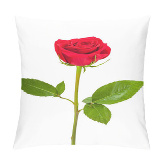 Personality  Rose Isolated Pillow Covers
