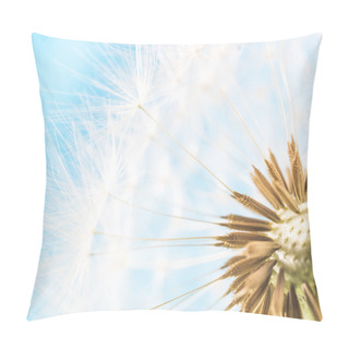 Personality  Dandelion Abstract Blue Background. Shallow Depth Of Field. Pillow Covers