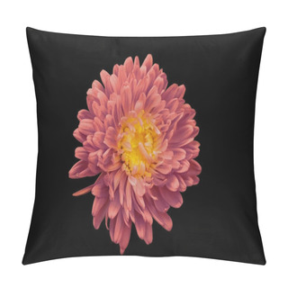 Personality  Red Chrysanthemum On Black Isolated Background Pillow Covers