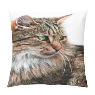 Personality  Looking Cat Portrait Side View Pillow Covers