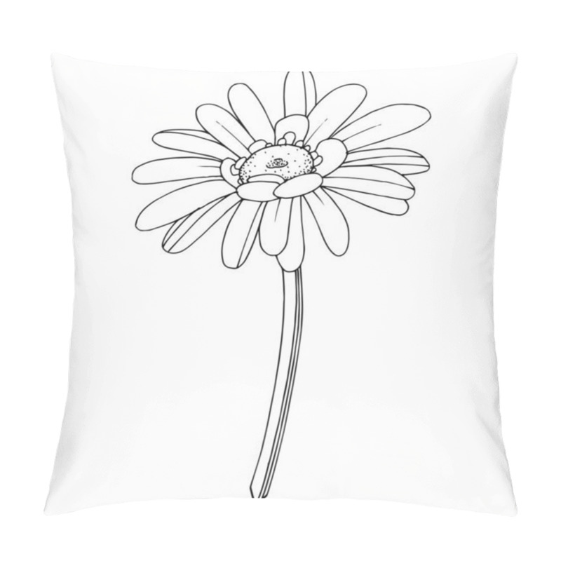 Personality  Vector Gerbera floral botanical flower. Black and white engraved pillow covers