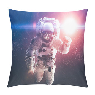 Personality  Beautiful Cat In Outer Space. Elements Of This Image Furnished B Pillow Covers