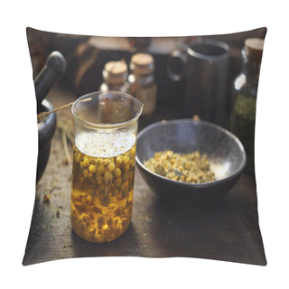 Personality  Chamomile, Herbs In Traditional Medicine, Home Medicine Cabinet Pillow Covers