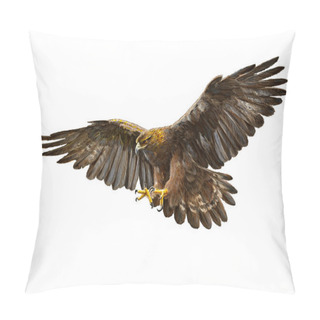 Personality  Golden Eagle Swoop Hand Draw On White. Pillow Covers