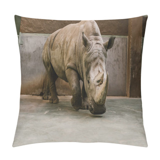 Personality  Closeup View Of Endangered White Rhino At Zoo Pillow Covers