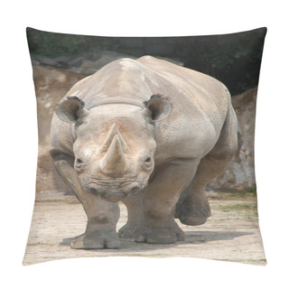 Personality  Black Rhinoceros Pillow Covers