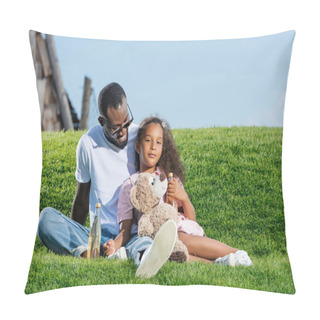 Personality  African American Father And Daughter Sitting On Hill With Soda And Teddy Bear At Amusement Park Pillow Covers