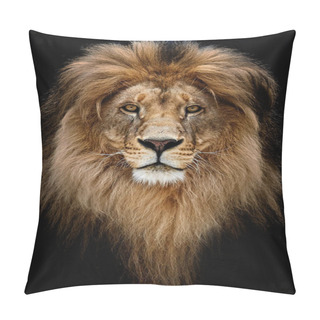 Personality  Portrait Of A Beautiful Lion, Lion In Dark Pillow Covers