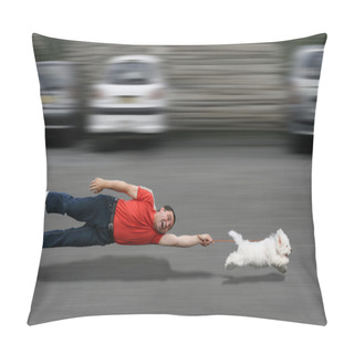 Personality  Canine Education Pillow Covers