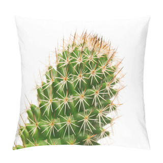 Personality  Cactus And Long Thorns  Pillow Covers