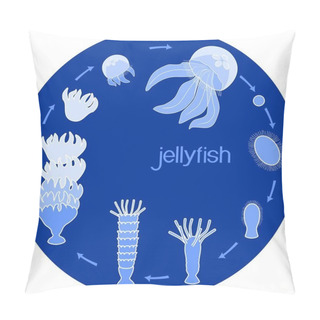 Personality  Developmental Stages Of Jellyfish Life Cycle Pillow Covers