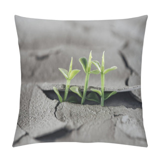Personality  Selective Focus Of Young Green Plants On Dried Cracked Ground, Global Warming Concept Pillow Covers