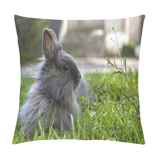 Personality  Fluffy Gray Rabbit On The Grass Pillow Covers