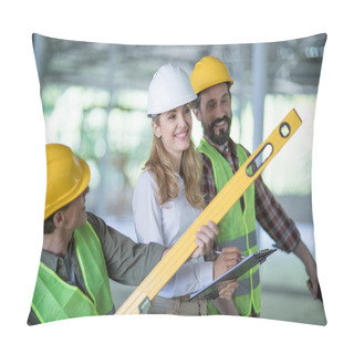 Personality  Professional Engineers Working Together  Pillow Covers