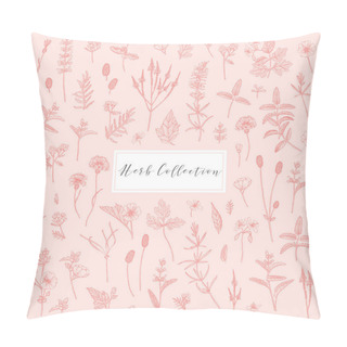 Personality  Vector Medicinal Herbs. Pillow Covers