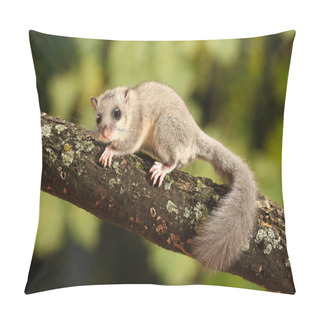 Personality  Cute Dormouse, Glis Glis On The Branch Pillow Covers