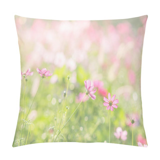 Personality  Soft, Selective Focus Of Cosmos, Blurry Flower For Background, C Pillow Covers