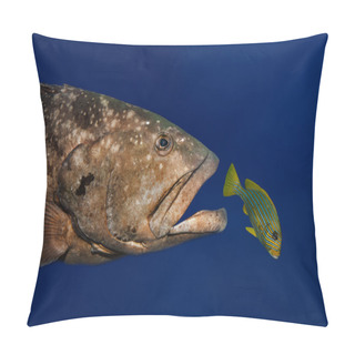 Personality  Catch Me If You Can Pillow Covers