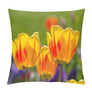 Personality  Yellow Tulip Closeup Pillow Covers