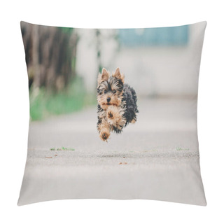 Personality  Yorkshire Terrier Dog In Summer Pillow Covers