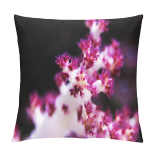 Personality  Dendronephthya Sp. (Tree Soft Coral) Pillow Covers